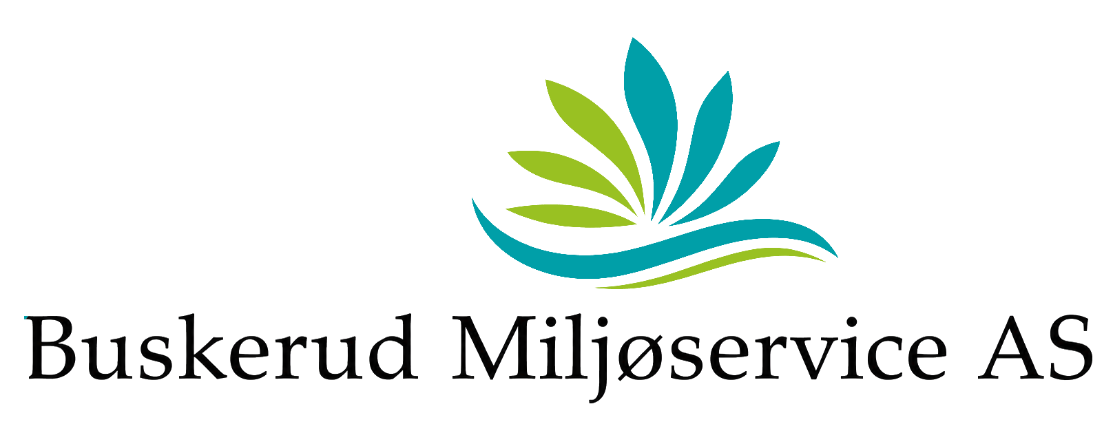 Buskerud Miljøservice AS